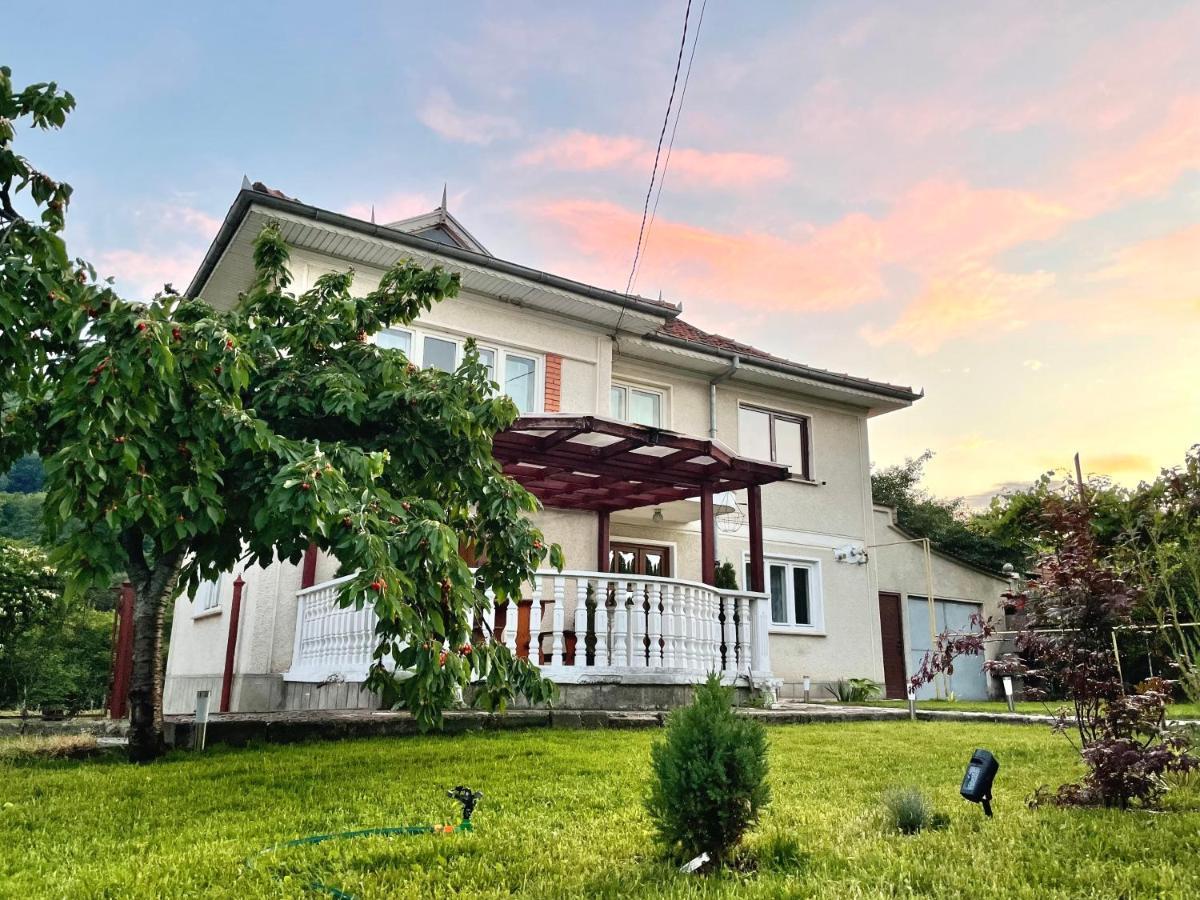 Vila Cozy, Panorama Superba, Gratar Si Relaxare Piatra Neamţ Esterno foto